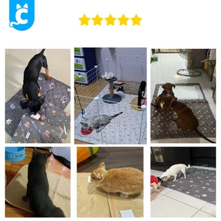 [ส่งฟรี🇹🇭] CleverPet แผ่นรองฉี่สุนัข ผ้ารองฉี่หมา ซักใช้ซ้ำได้ ซึมซับได้ดี มีกันลื่น Dog Pad