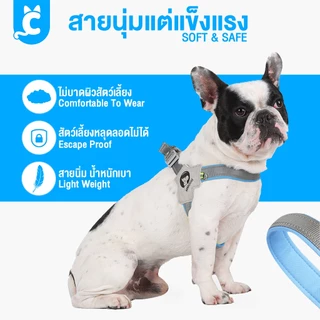 [ส่งฟรี🇹🇭] Duomm สายรัดอกสุนัข เสื้อรัดอกหมา ระบายความร้อน Dog Harness CleverPet