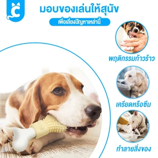 [ส่งฟรี🇹🇭] CleverPet กระดูกสุนัข ขัดฟัน ของเล่นหมา ใส่ยาสีฟัน ใส่ขนมได้ กระดูกแปรงฟัน Dog Bone