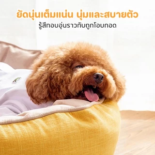 PETStar1🥇ที่นอนสัตว์เลี้ยง🥇สบาย ที่นอนสุนัข ที่นอนแมว ขนฟูนุ่มมาก ฟินสบายไร้ขีดจำกัด