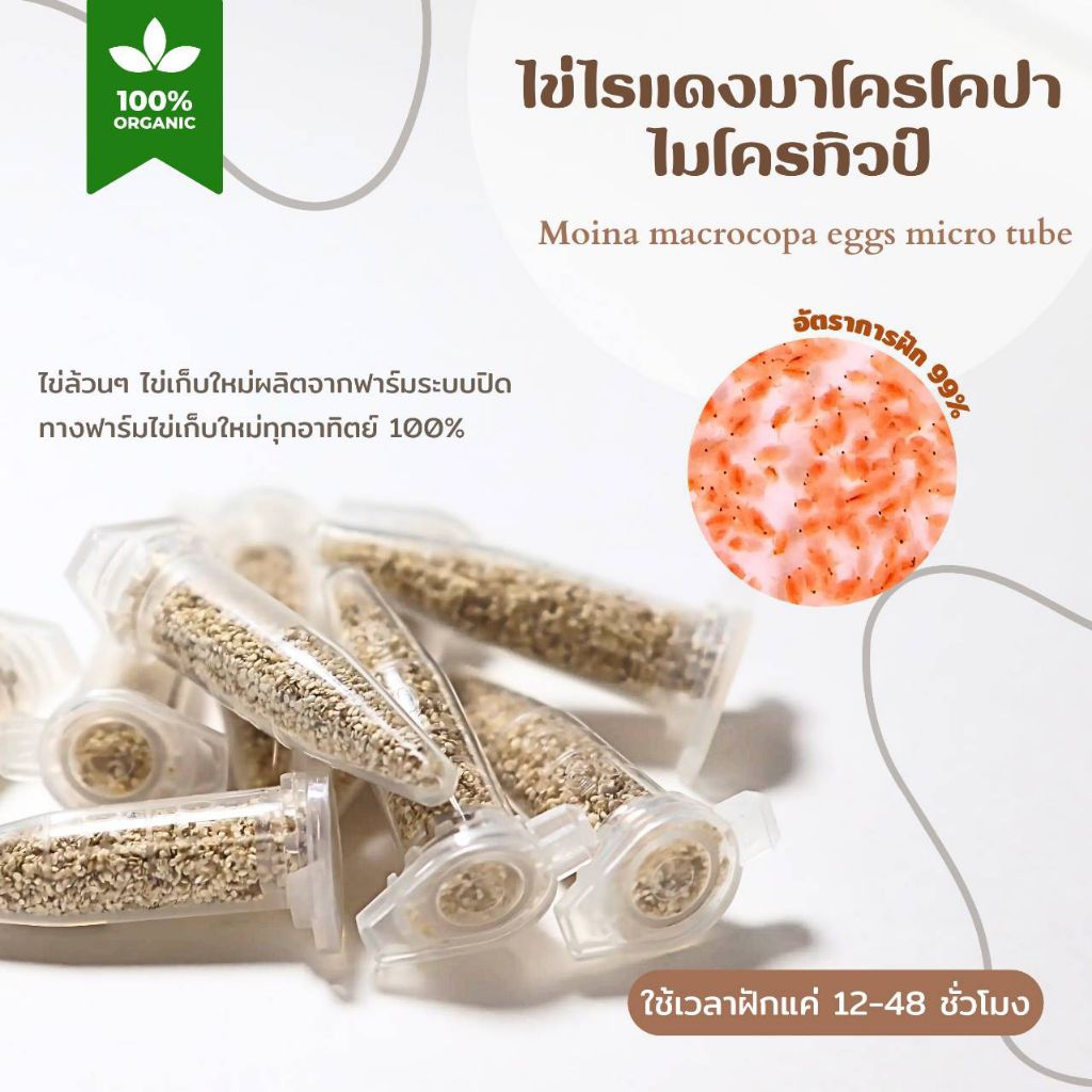 ไข่ไรแดงไมโครทิวป์ Moina macrocopa รับประกันการฟัก99.9% ไข่ใหม่ เก็บจากฟาร์มระบบปิดฟักตัวไม่ดีเคลมฟรี