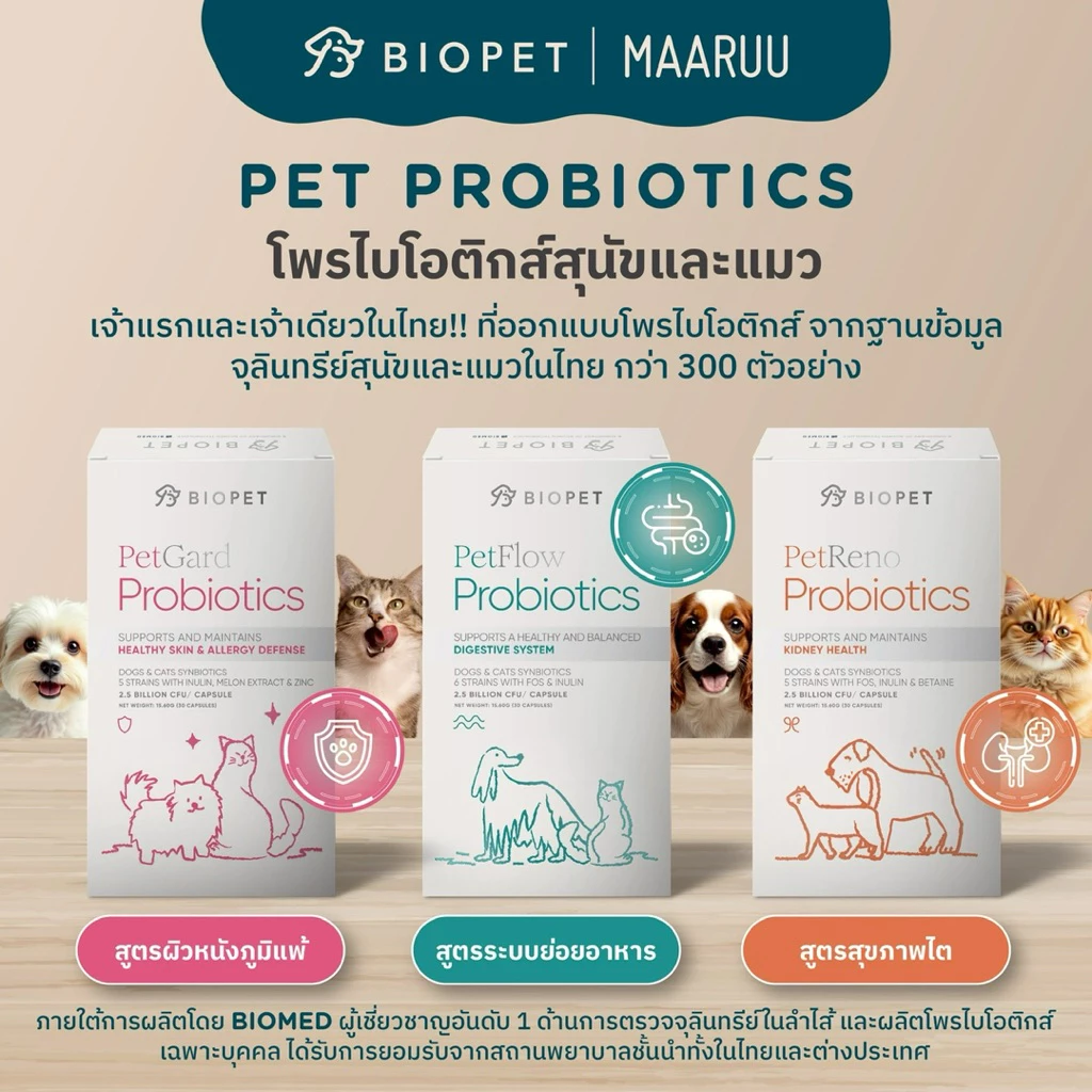 Biopet PetFlow Probiotics  สูตร Digestive ปรับสมดุลลำไส้ ลดท้องเสีย ลดกลิ่นอุจจาระ โพรไบโอติกส์สำหรับสัตวเลี้ยง หมา แมว thumbnail 5