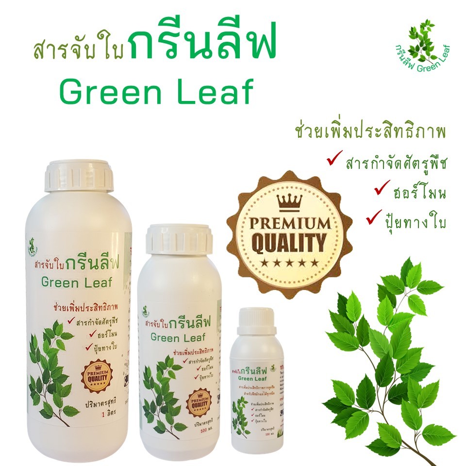 สารจับใบกรีนลีฟ (Green Leaf surfactant, GL) สารเพิ่มประสิทธิภาพการดูดซึม ยึดเกาะ ประหยัดปุ๋ย ยากำจัดแมลง