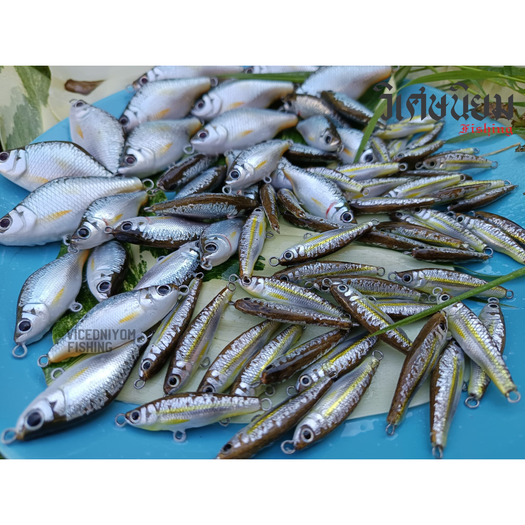 เหยื่อตกปลาล่าเหยื่อ งานไม้ทำมือ งาน Hand made ( ผลิตในไทย ) ซิว ตะเพียน กรอส่าย จมพลิก โครง เคาะ แฉลบ - รูปที่ 2