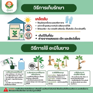 อะมิโนยาง ฟ้าอรุณ [ขนาด 500cc] — เฉพาะสำหรับยางพาราโดยตรง ฟื้นฟูต้นยางโทรม เปลือกแข็ง กรีดยาก น้ำยางมีเปอร์เซ็นต์ต่ำ