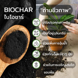 ดินปลูกกุหลาบ ดินกุหลาบ สูตรระบายน้ำดีพิเศษ 10 กิโล ผสมสำเร็จแล้วพร้อมปลูก พร้อมส่ง