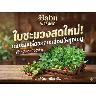 ใบชะมวง สด สะอาด รับประกันคุณภาพ 1 กก.