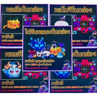 ไก่ตันผลในกล่อง Bloxfruits แบบเลือกได้