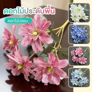 กระถางต้นไม้ขนาดเล็ก ไม้ประดับห้าแฉก ดอกไฮตอง ปลูกง่าย โตไว ตกแต่งบ้านสวน โต๊ะทำงาน