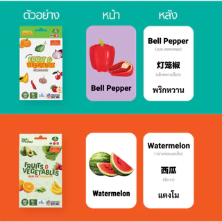 Mornington Flashcard ชุดแฟลชการ์ด การ์ดคำศัพท์ บัตรคำ 3 ภาษา เสริมพัฒนาการเด็ก / กล่อง