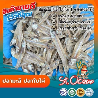 ปลามะลิ ปลาใบไผ่ตากดิบ คุณภาพส่งออก มาตรฐาน อ.ย. Halal GMP HACCP