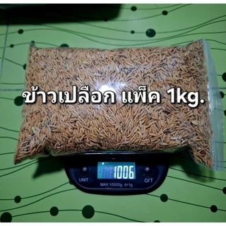 ข้าวเปลือกไก่ เม็ดยาว ข้าวปลูกใหม่ แพ็ค1kg.
