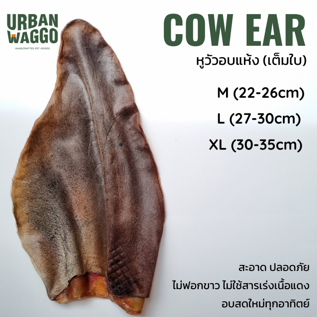 หูวัวอบแห้ง จากธรรมชาติ 100% ไม่ฟอกสี ไม่ใส่สารกันเสีย Dehydrated Cow Ear (whole) Urban waggo