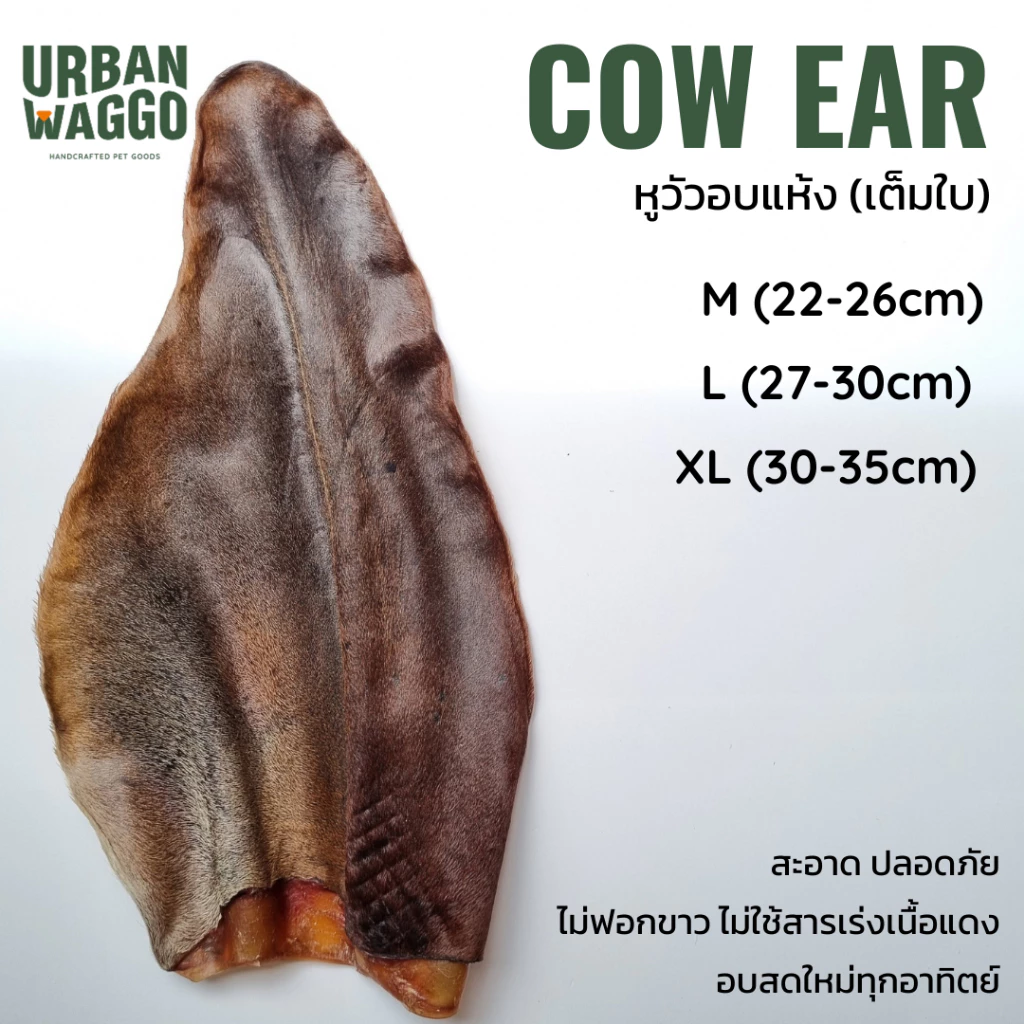 หูวัวอบแห้ง จากธรรมชาติ 100% ไม่ฟอกสี ไม่ใส่สารกันเสีย Dehydrated Cow Ear (whole) Urban waggo
