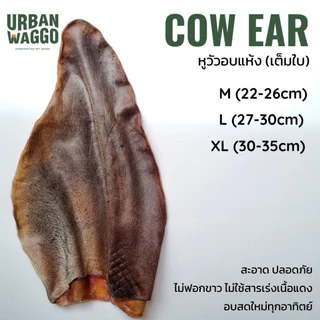 หูวัวอบแห้ง จากธรรมชาติ 100% ไม่ฟอกสี ไม่ใส่สารกันเสีย Dehydrated Cow Ear (whole) Urban waggo
