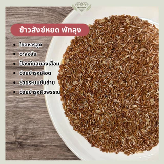 ข้าวสังข์หยด พัทลุงแท้ 100% ขนาด 1 กก. สุญญากาศ | ข้าวกล้องสังข์หยด ข้าวสุขภาพ | ข้าวเพชรกมล