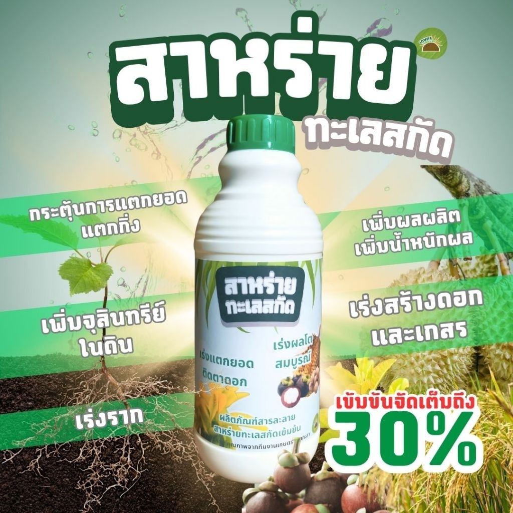 สาหร่ายทะเลสกัด สาหร่ายน้ำ เข้มข้น เพิ่มการเปิดตาดอก เร่งการเจริญเติบโต
