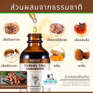 Oimmal Turkey Tail Mushroom รวมเห็ด 5 ชนิด ช่วย ภูมิคุ้มกัน โปรไบโอติก บำรุงลำไส้ สำหรับ สุนัข แมว