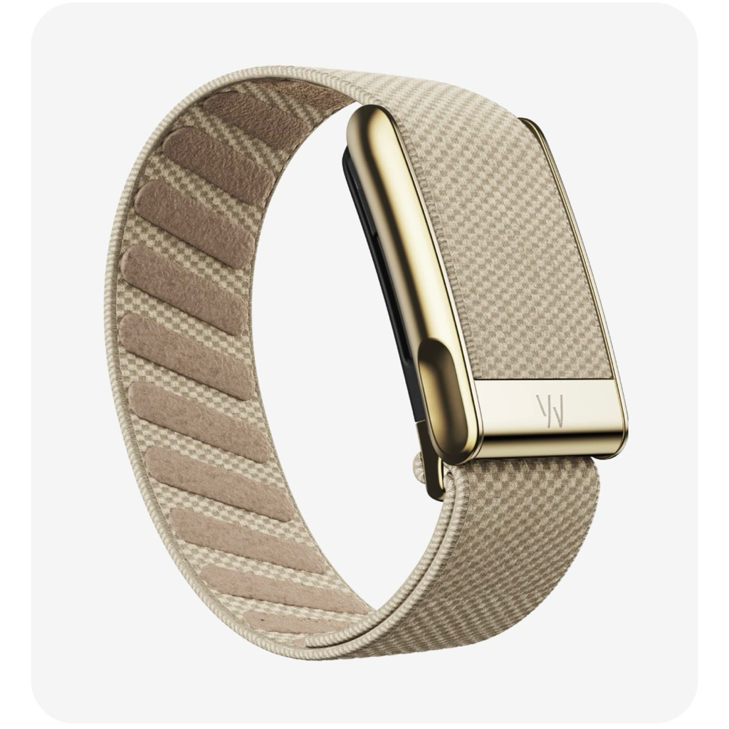 พร้อมส่ง ⭐️ Whoop Band - MG แท้ 100% (สายสำรอง)