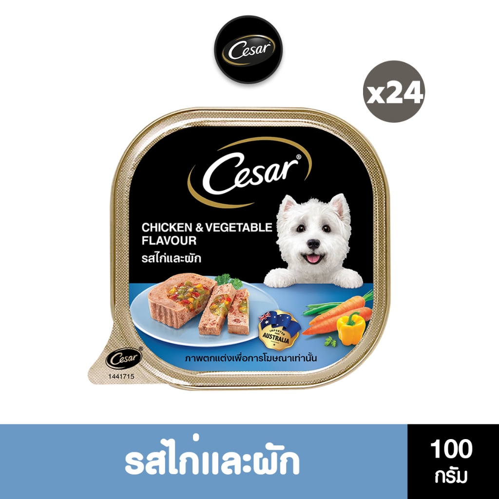 CESAR อาหารเปียกสุนัข แบบถาด ทุกรสชาติ 100 ก. (24 แพ็ก )