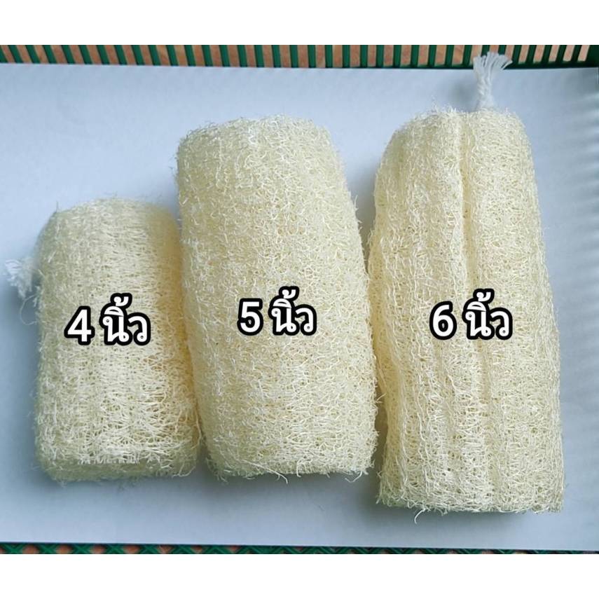 [ 1 อัน] ใยบวบ ใยบวบขัดตัว ใยบวบขัดผิว ใยบวบธรรมชาติ ยิ่งใช้ยิ่งนิ่ม Natural Loofah Sponge