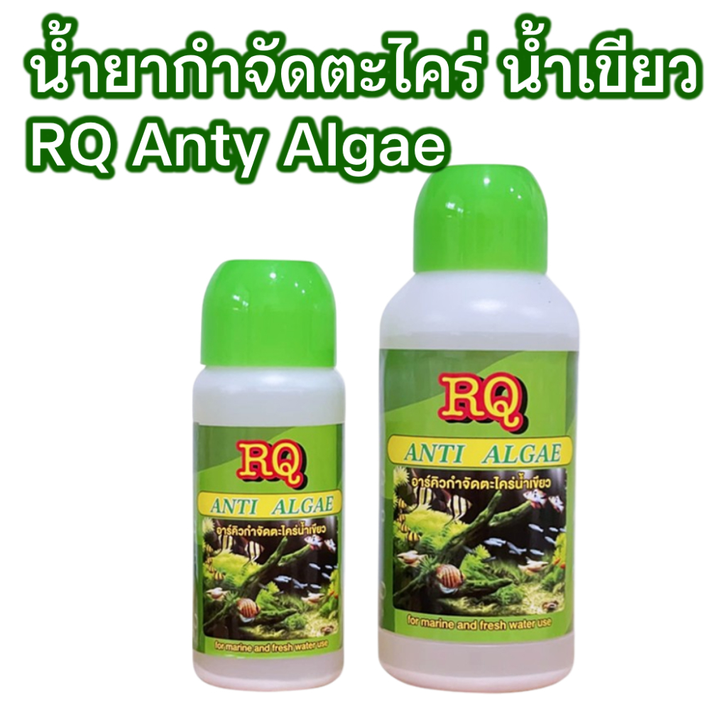 RQ Anti Algae (น้ำยากำจัดตะไคร่ น้ำขียว สาหร่าย ตะไคร่ ในบ่อปลา และตู้ปลา)