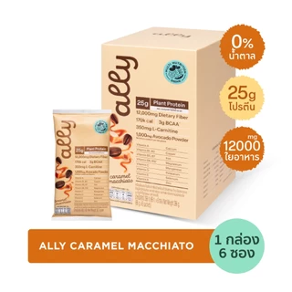 Ally powder Caramel macchiato ออลลี่ พาวเดอร์ คาราเมล มัคคิอาโต้ โปรตีนพืช ทดแทนมื้ออาหาร 1 กล่อง 6 ซอง