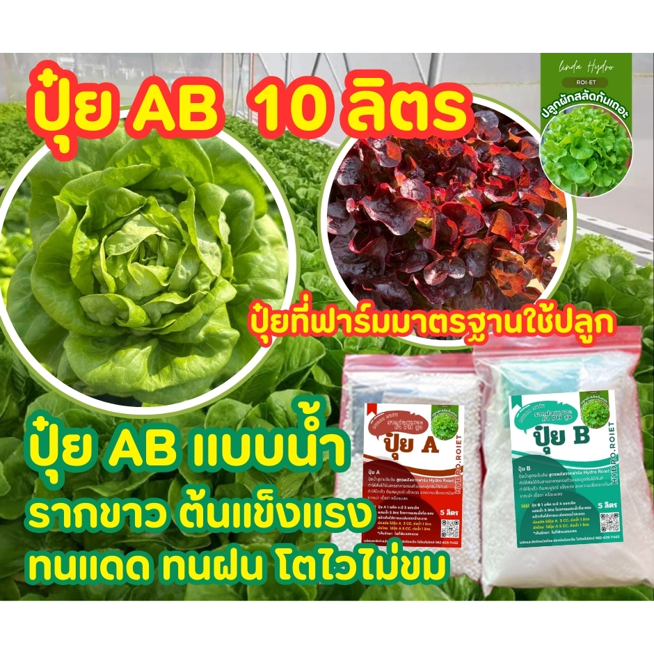 ปุ๋ย AB อย่างละ 10 ลิตร ได้ครบเช็ต คุ้มมาาก ผักไฮโดรโปนิกส์ l คุณภาพดีที่สุด 100%