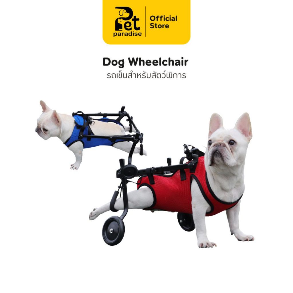 [PetParadise.th] Dog Wheelchair รถเข็นสุนัข สำหรับสัตว์พิการ ตัวล็อคแน่น เหมาะกับสุนัขขนาดเล็ก-กลาง