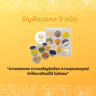 ชุดมงคลพิธียกเสาเอกเสาโท จัดเซ็ตทั้งเสาเอกเสาโทสุดคุ้ม คุณภาพสูง สำหรับพิธี ขึ้นบ้านใหม่ เปิดกิจการใหม่ ตั้งศาลพระภูมิ