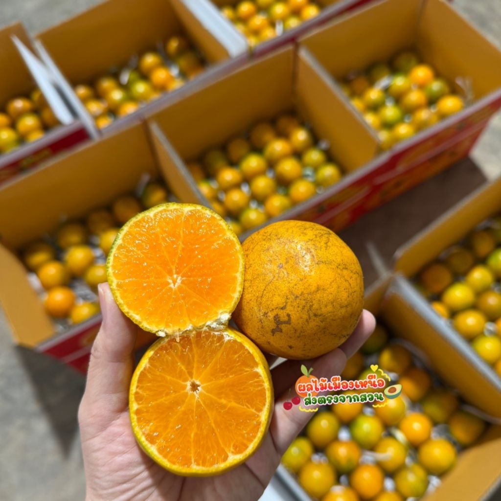 🍊ส้มสายน้ำผึ้งฝาง (เบอร์5 )น้ำหนัก5กิโล จัดส่งฟรี น้ำหนักไม่รวมกล่องค่ะ