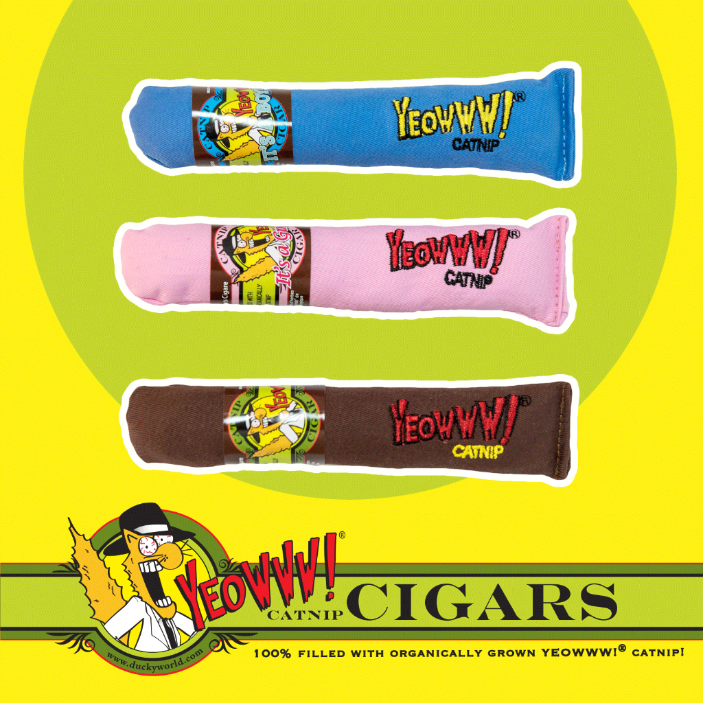 Yeowww! Cigar ซิการ์น้องแมวสุดเท่