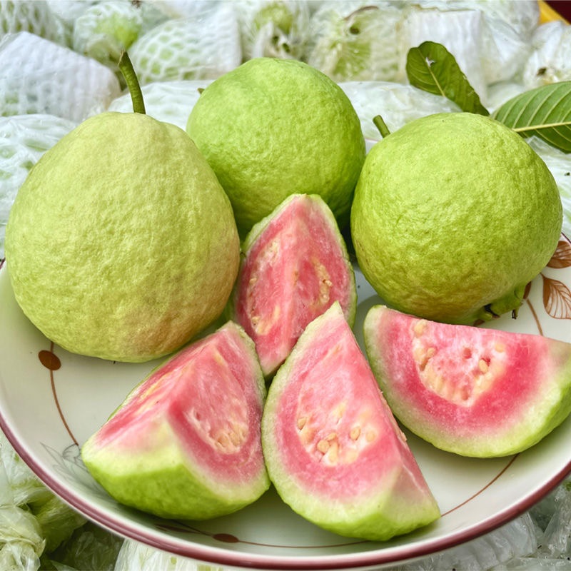 ไม้ผล Guava Seeds for Planting Horticultural enthusiasts 50เมล็ด ฝรั่ง เมล็ดพันธุ์ให้ผลผลิตสูง F1 Se