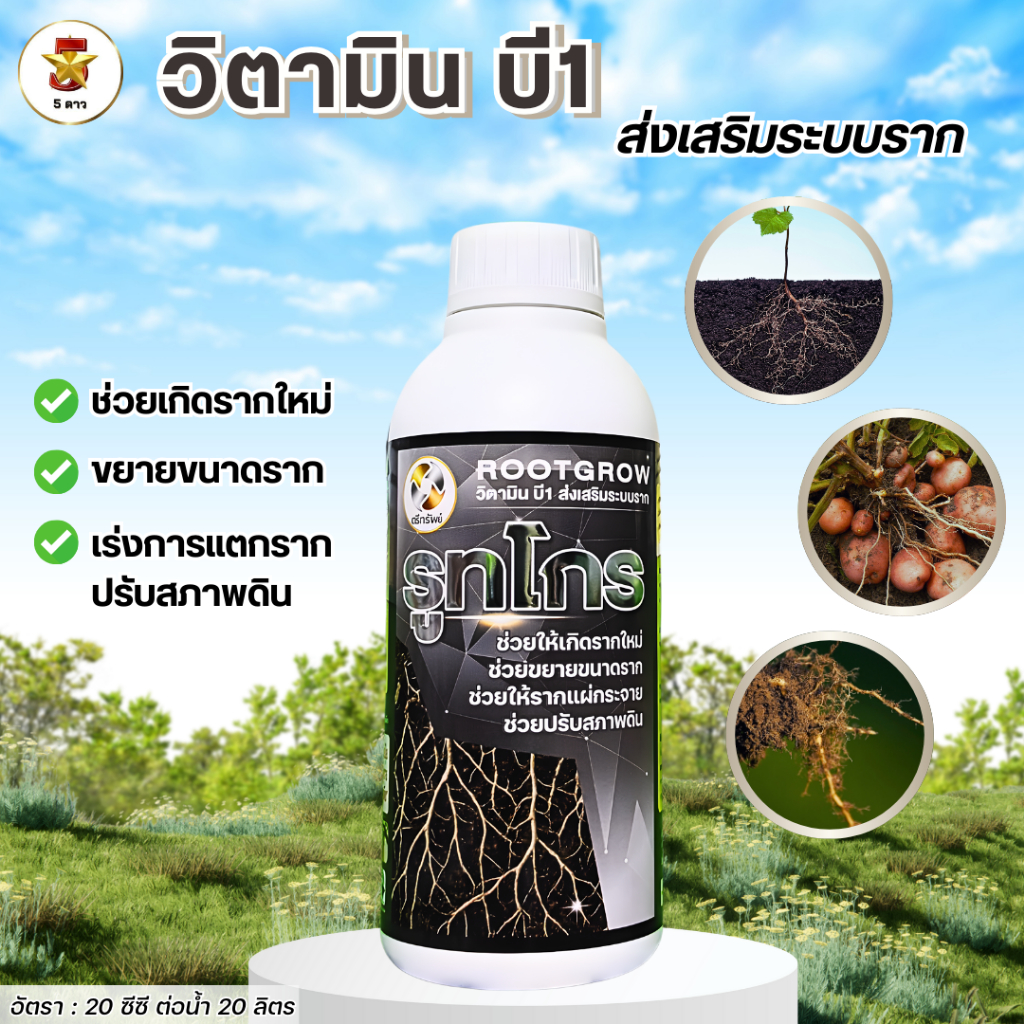 รูทโกร 1 ลิตร  #วิตามินB1  บำรุงราก แตกรากใหม่ รากแข็งแรง