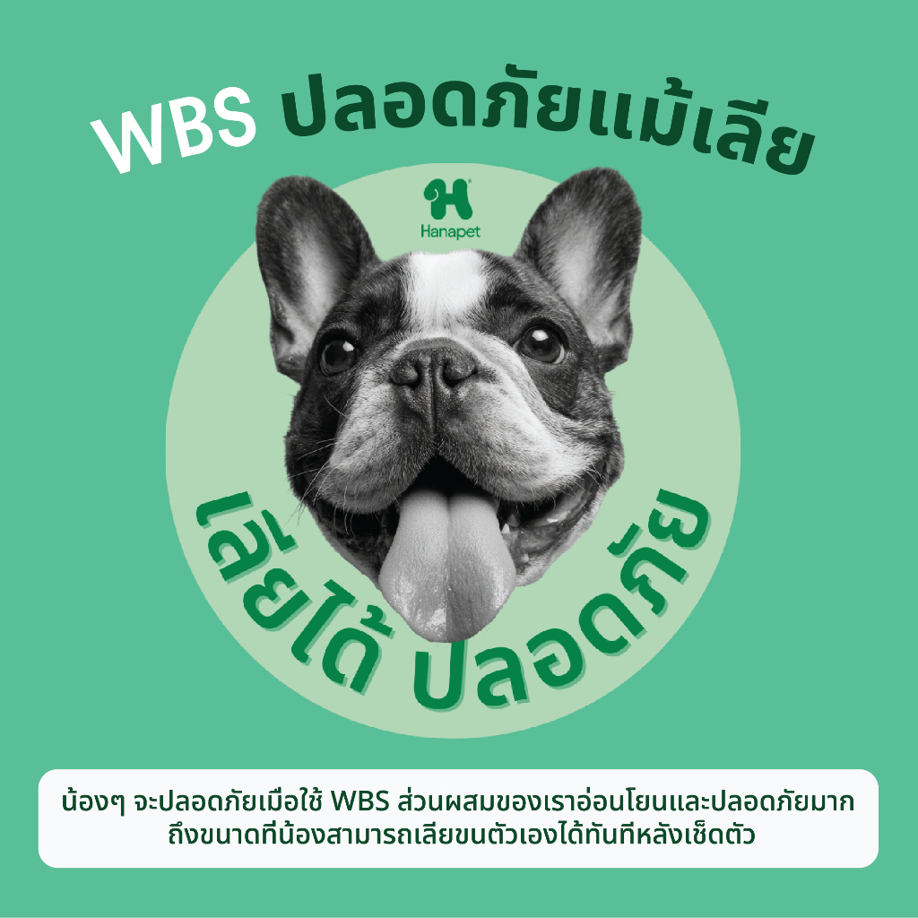 รูปภาพ 4