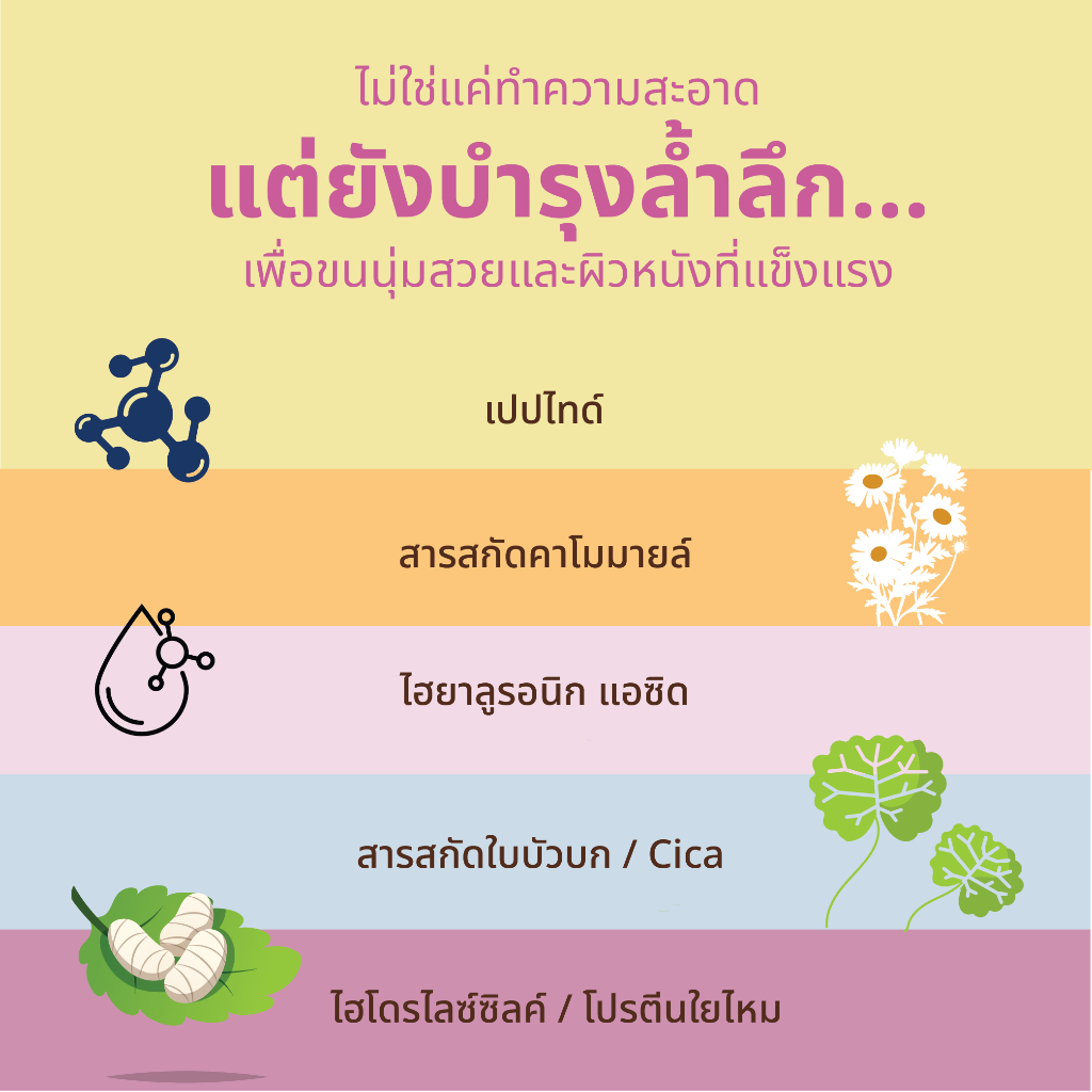 รูปภาพ 6