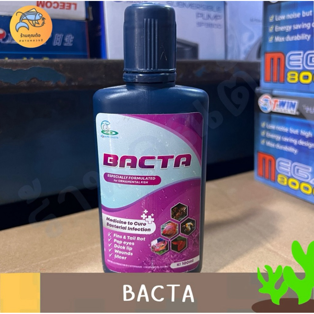 Bacta แบคต้า 100 ml สารละลายดูแลปลาสวยงาม สำหรับน้ำประปา