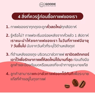 Goodie Coffee Roaster เมล็ดกาแฟ Chiang Rai Pangkhon