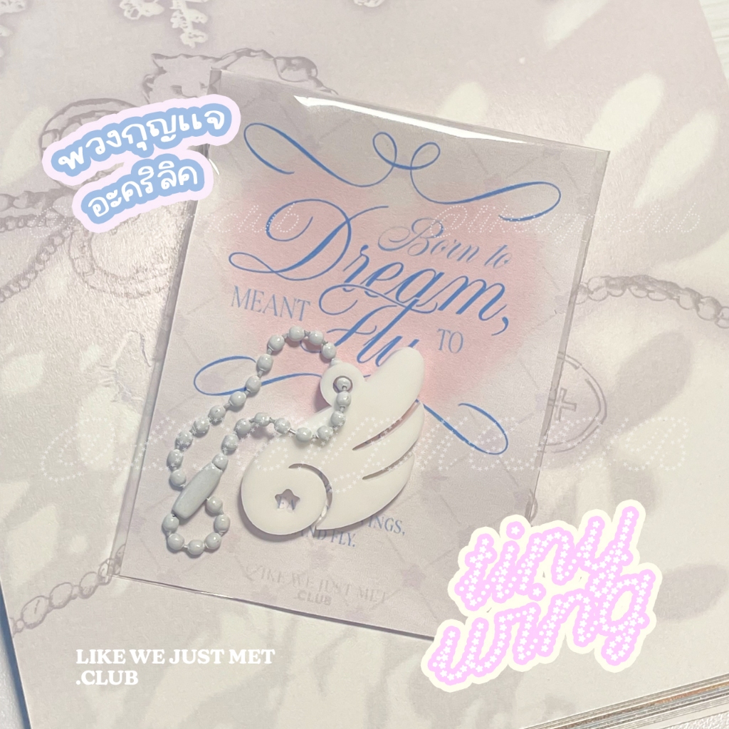 (พร้อมส่ง) 🪽 พวงกุญแจปีก อะคริลิค tiny wing keyring ของขวัญ ปีใหม่ ปัจฉิม