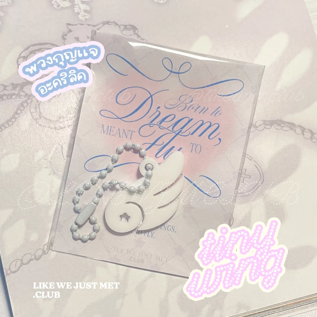 (พร้อมส่ง) 🪽 พวงกุญแจปีก อะคริลิค tiny wing keyring ของขวัญ ปีใหม่ ปัจฉิม