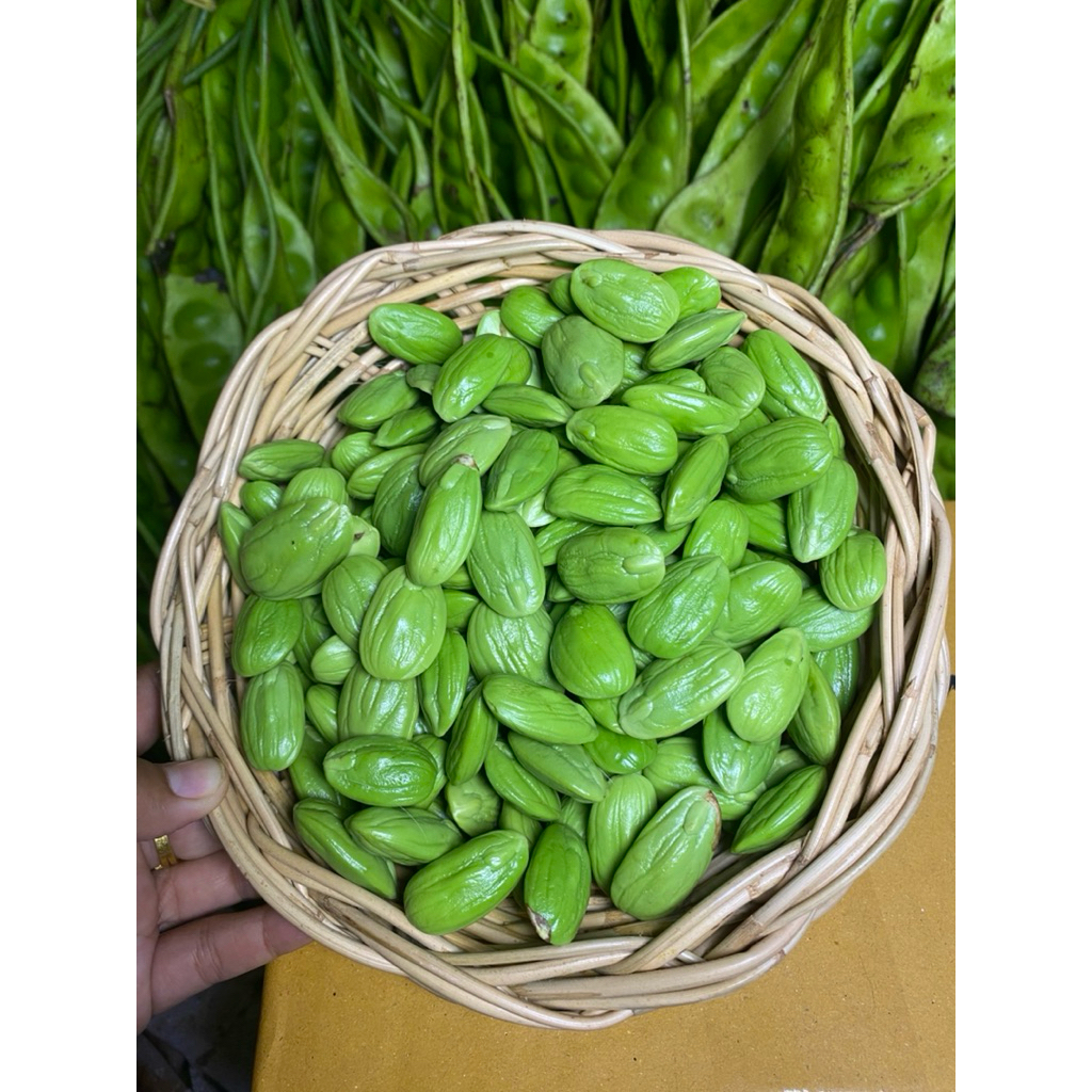 (500 กรัม)สะตอแกะเม็ดสวย เม็ดกลาง คัดหนอน แกะใหม่ ไม่แช่น้ำ ส่งทุกวัน✅✅