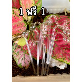 1ฟรี1 หลอดทดลองแก้วทนความร้อน พร้อมส่งจากไทย