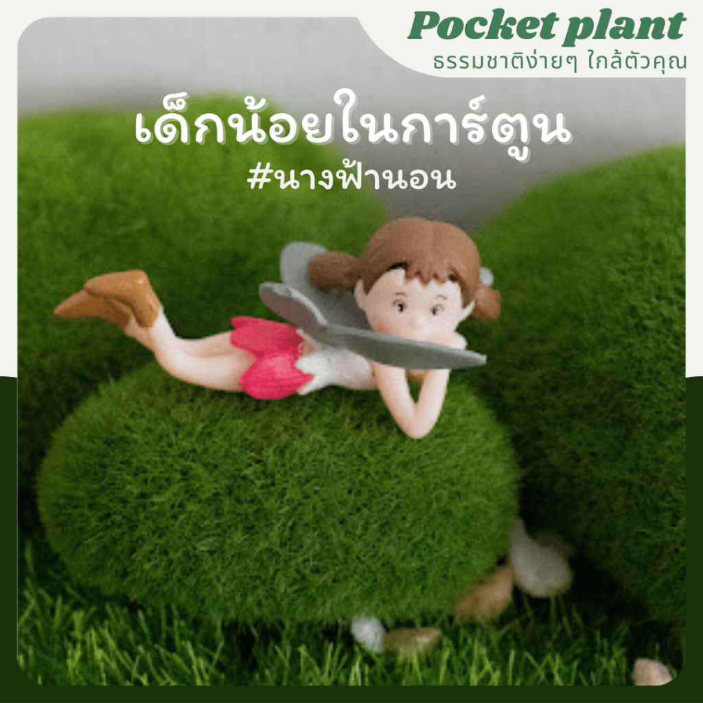 มุมมอง 7