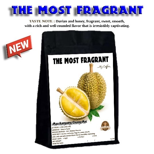 159 THE MOST FRAGRANT เมล็ดกาแฟคั่ว กาแฟแม่กำปอง จ.เชียงใหม่ Mae Kampong Chiang Mai Coffee