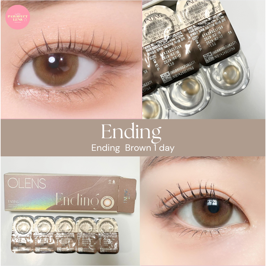 [🔥ลด 30%] Ending Brown / Gray 1 Day เลนส์รายวัน หมดอายุ 2028 [Clearance Sale]