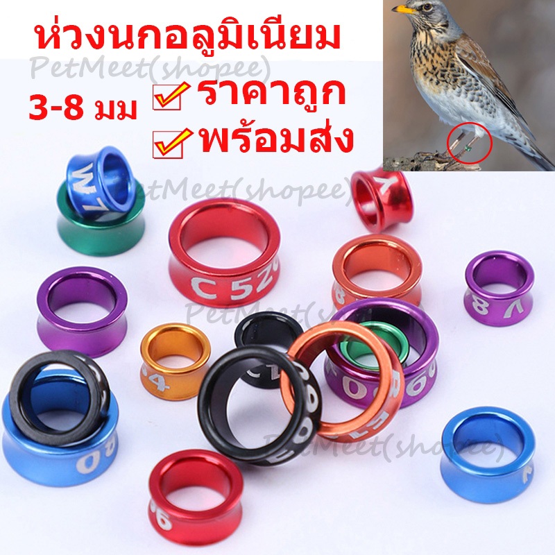 ถูก🎉50ชิ้น ห่วงขานก ห่วงขานกแก้ว แหวนนก 3-8 มม ห่วงนกอลูมิเนียม ห่วงขานก ราคาถูก พร้อมส่ง สุ่มสี