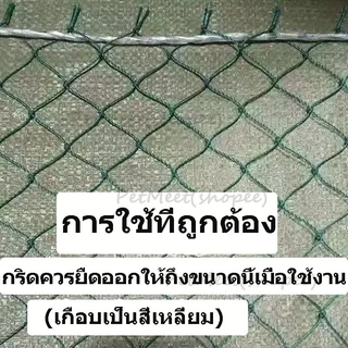 ถูก🎉ตาข่ายอเนกประสงค์ ตาข่ายล้อมไก่ ตาข่ายกันนก อวนล้อมไก่ ดางล้อมไก่ เลี้ยงไก่ กันงู กันนก กันแมว พร้อมใช้งาน