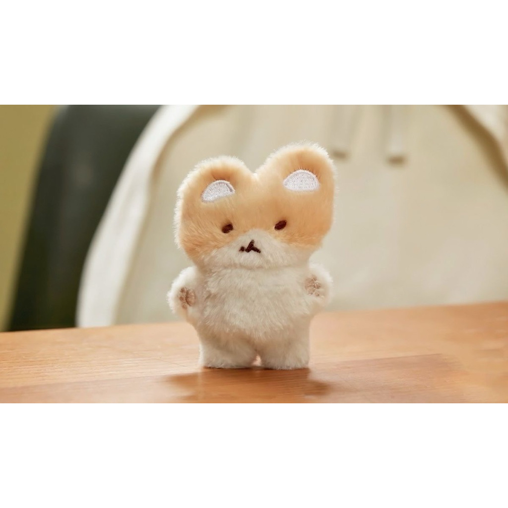 (BAEKHYUN) TEOLAEGI KEYRING ทอแรกี คีย์ริง