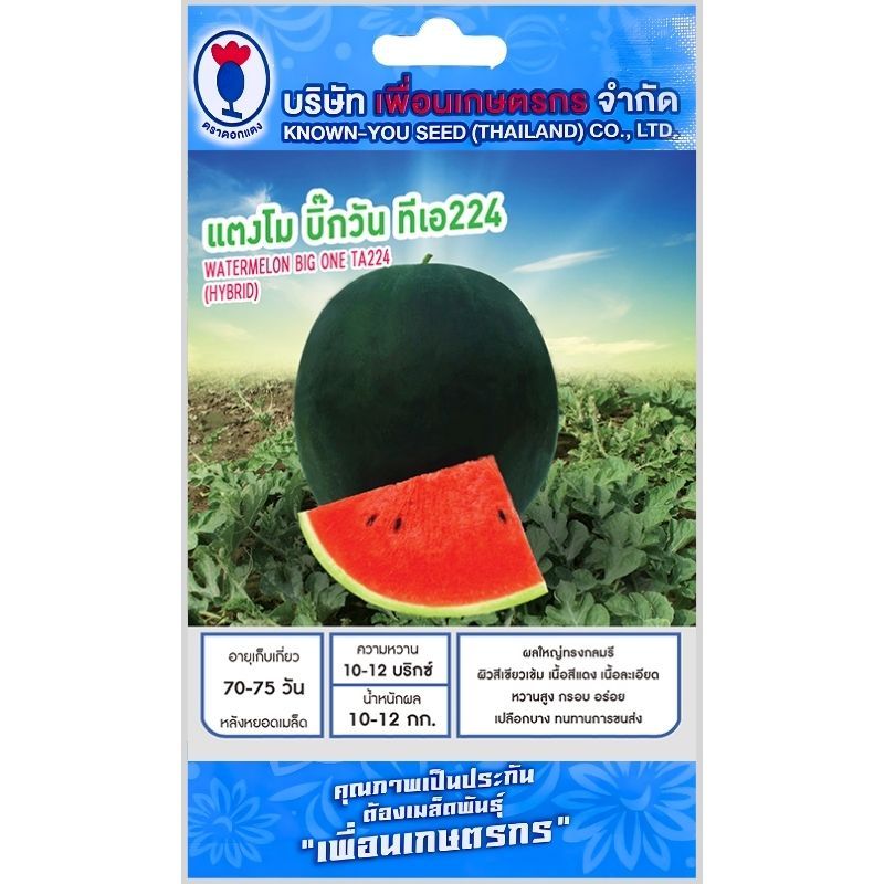 เมล็ดพันธุ์ แตงโม บิ๊กวัน TA224 เพื่อนเกษตรกร