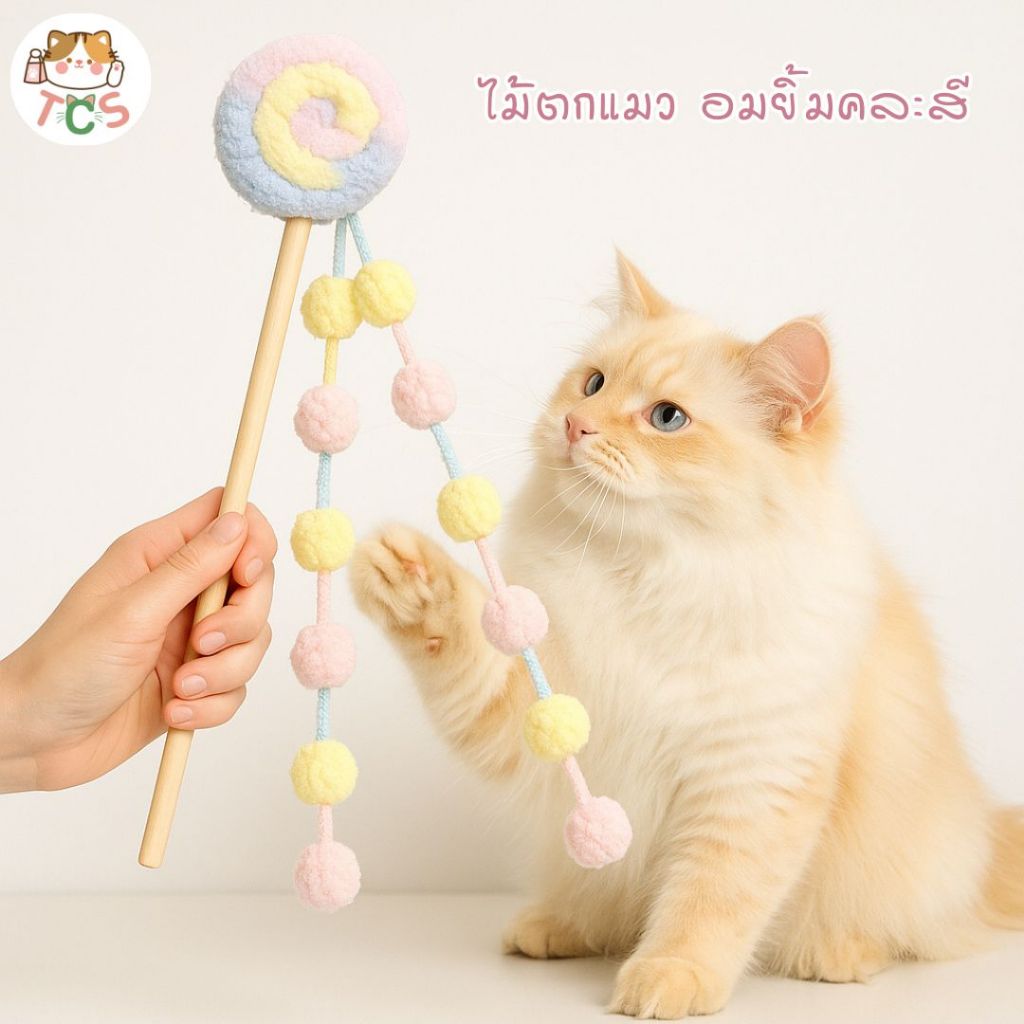 TCS ไม้ตกเเมว อมยิ้ม ยาว50ซม. ด้ามไม้ คละสี ของเล่นแมว ของเล่นล่อแมว ไม้ล่อแมว Cat Teaser